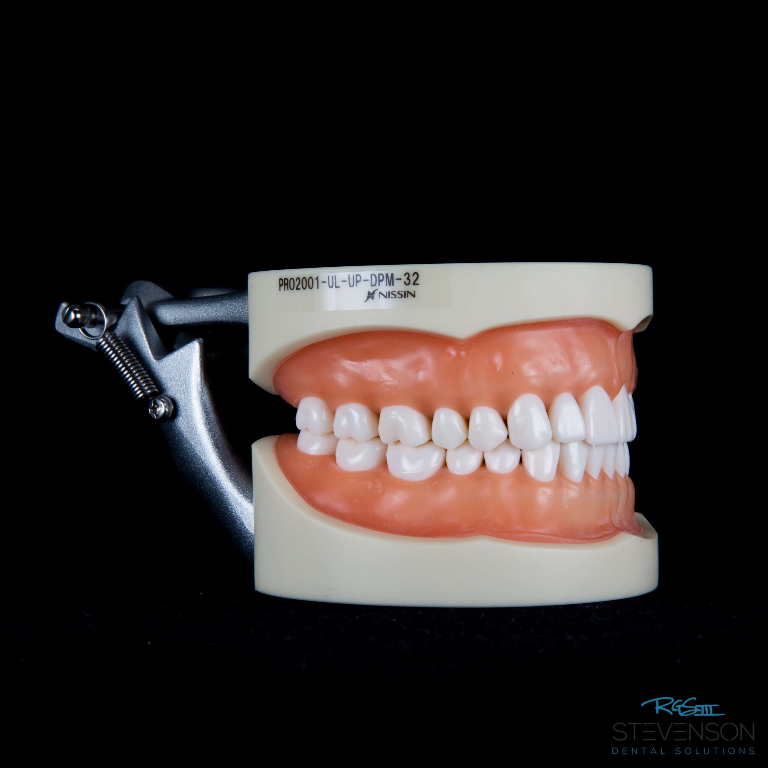 10 Individual Replacement Typodont Teeth – For 32-Tooth Models (Kilgore/Nissin)