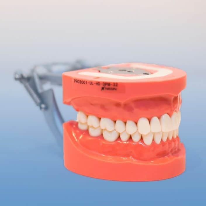 Oral Cavity Cover Cheeks Kilgore Stevenson Dental Solutions